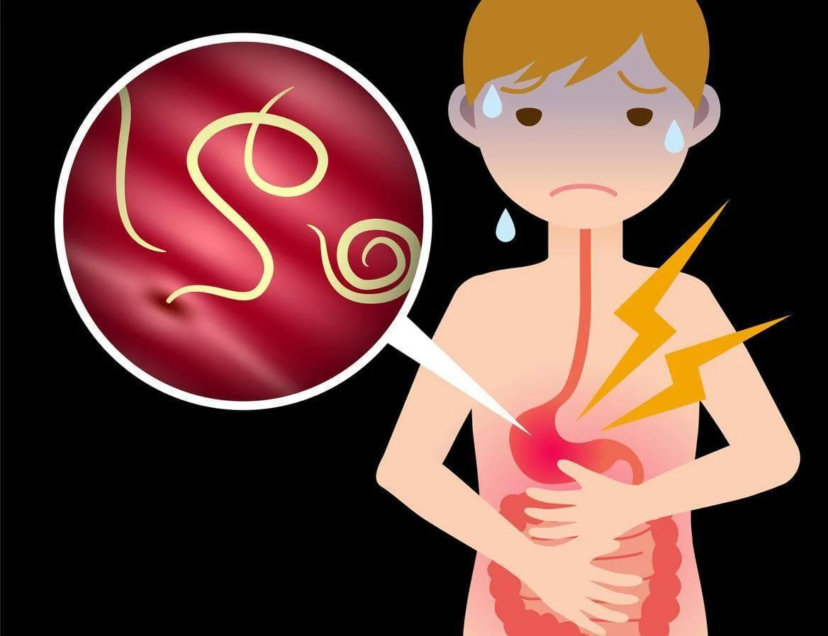 Профилактика энтеробиоза