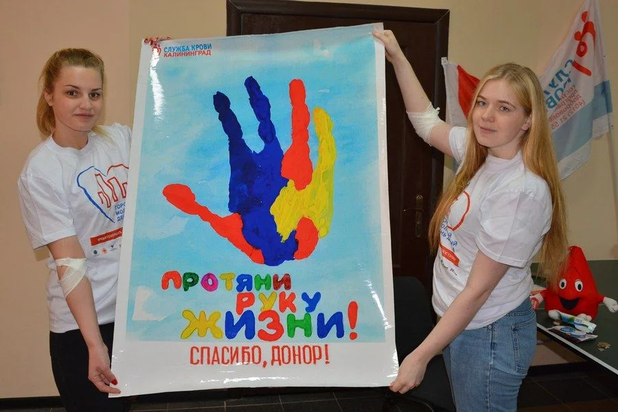 Работа в рамках развития и пропаганды безвозмездного донорства крови оценена положительно