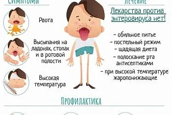 Профилактика энтеровирусной инфекции при выезде за  границу Профилактика энтеровирусной инфекции при выезде за  границу